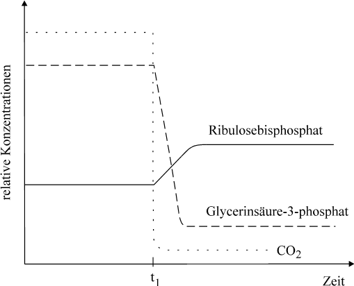 Kurve